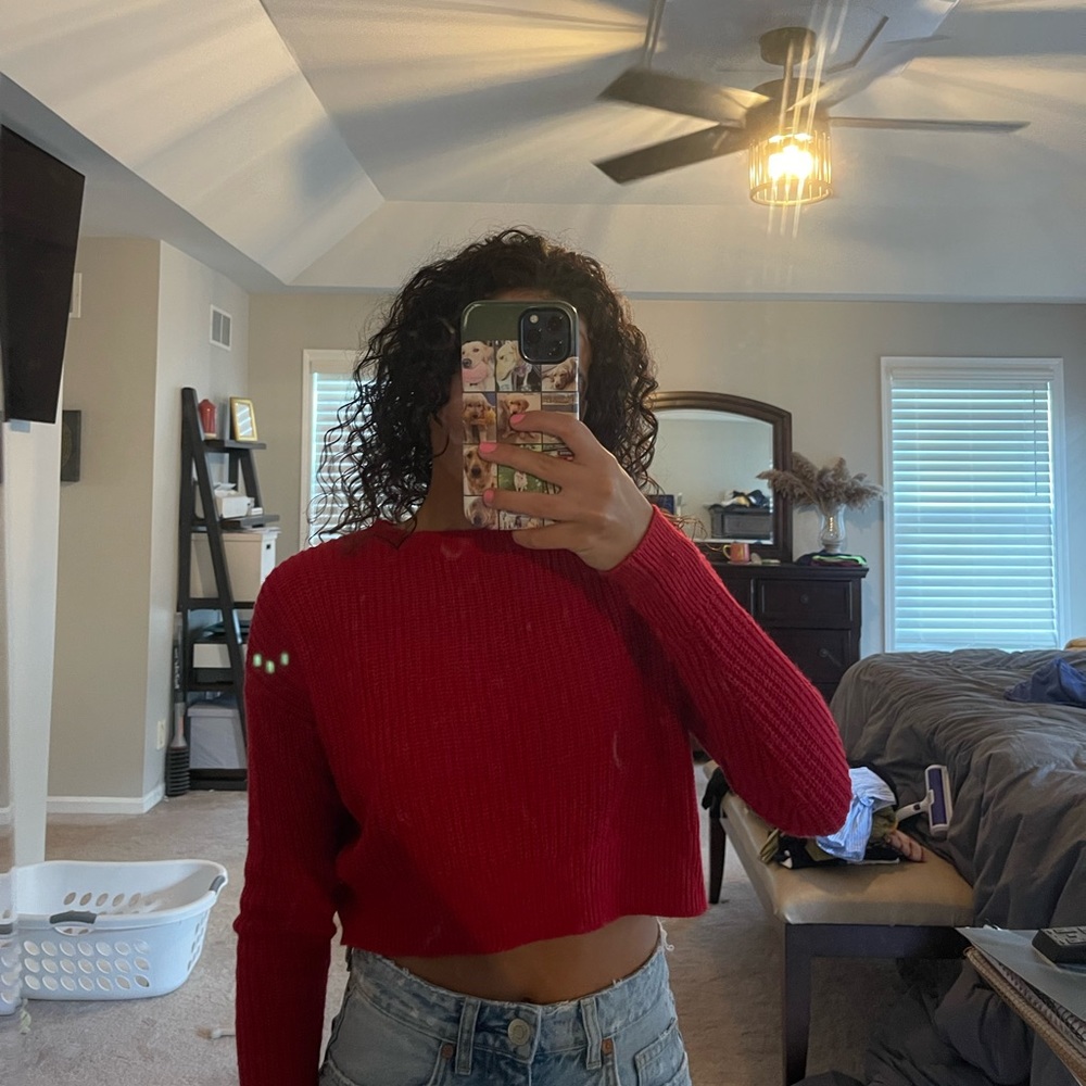Wild Fable Red Cropped Knit Sweater